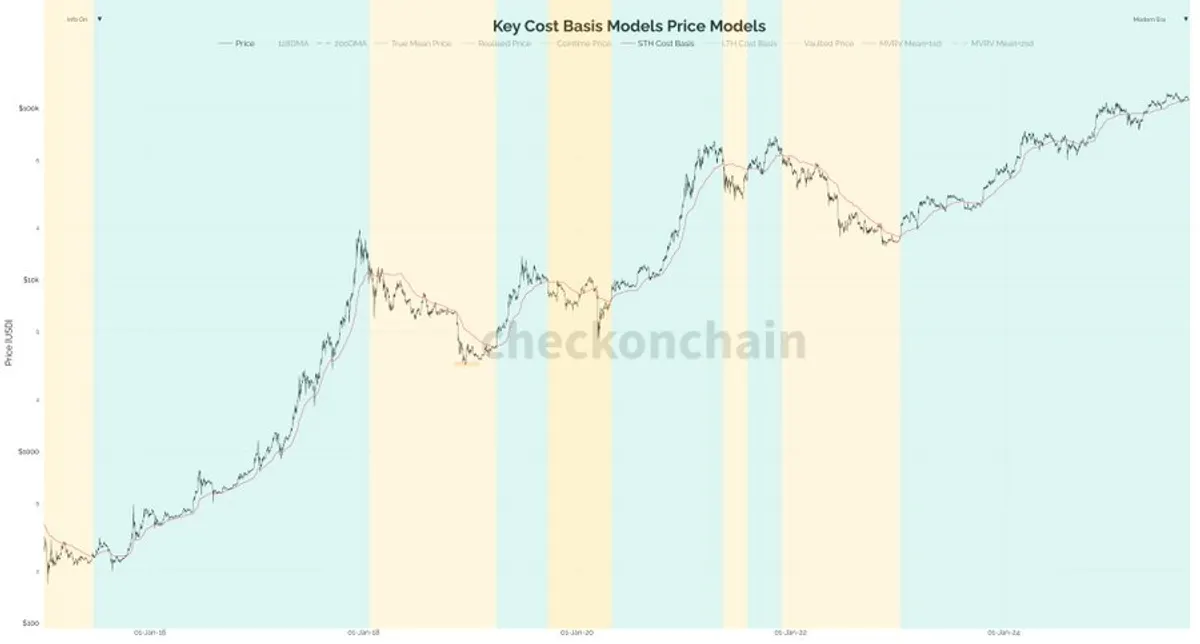 Bitcoin chart and short-term holders' underlying value