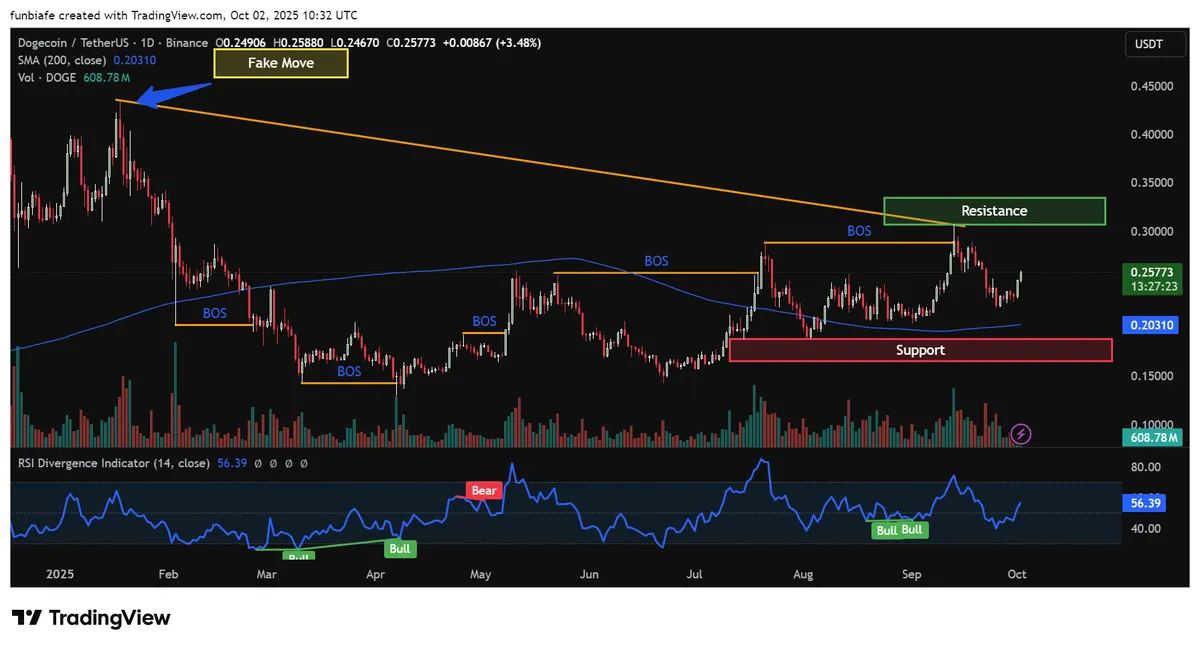 DOGE Daily chart TradingView