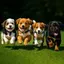 I love puppies