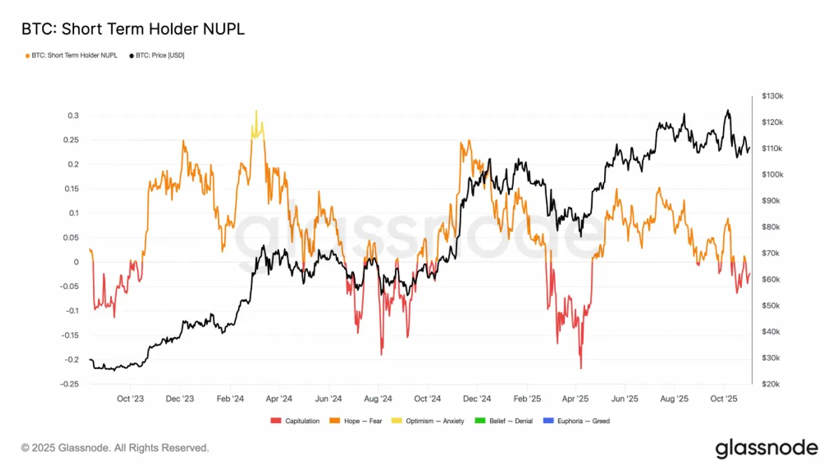 Unrealized Losses 
