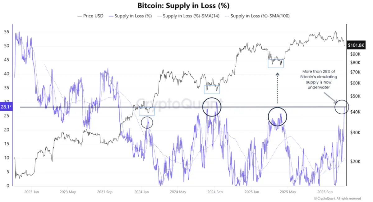 Bitcoin supply in loss