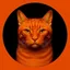 BILLI/WMNT