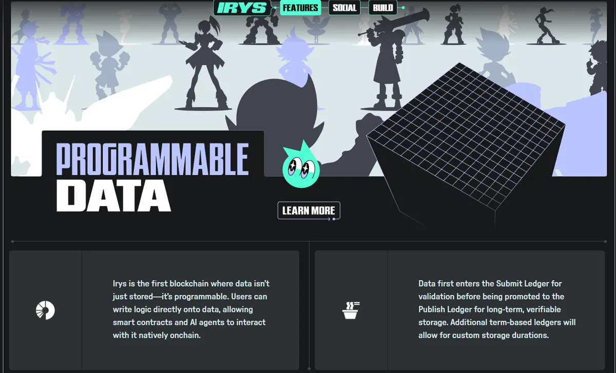 Irys programmable data