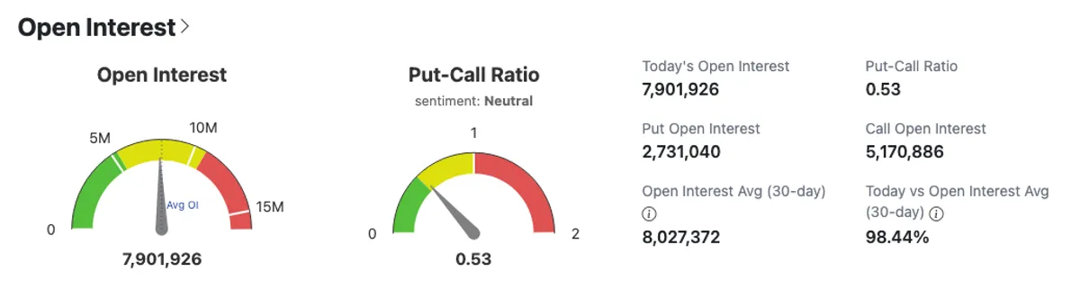 IBIT options stats