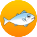 fih