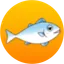 fih