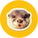 Degen the Otter