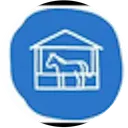 Stable Coin
