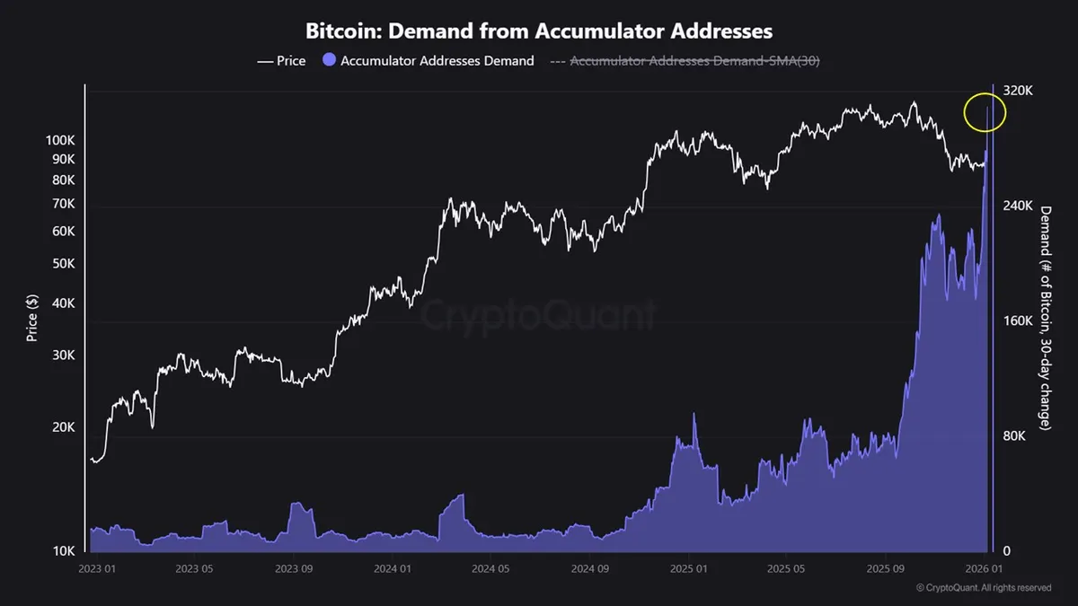 Bitcoin price alongside 30-day net accumulation from Accumulator Addresses