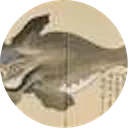 The Japanese Whale