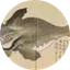 The Japanese Whale
