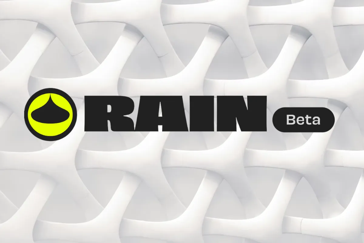 rain protocol