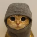 Sock and Pussy 500