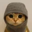 Sock and Pussy 500