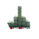 Dumb Money