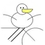pelicycle