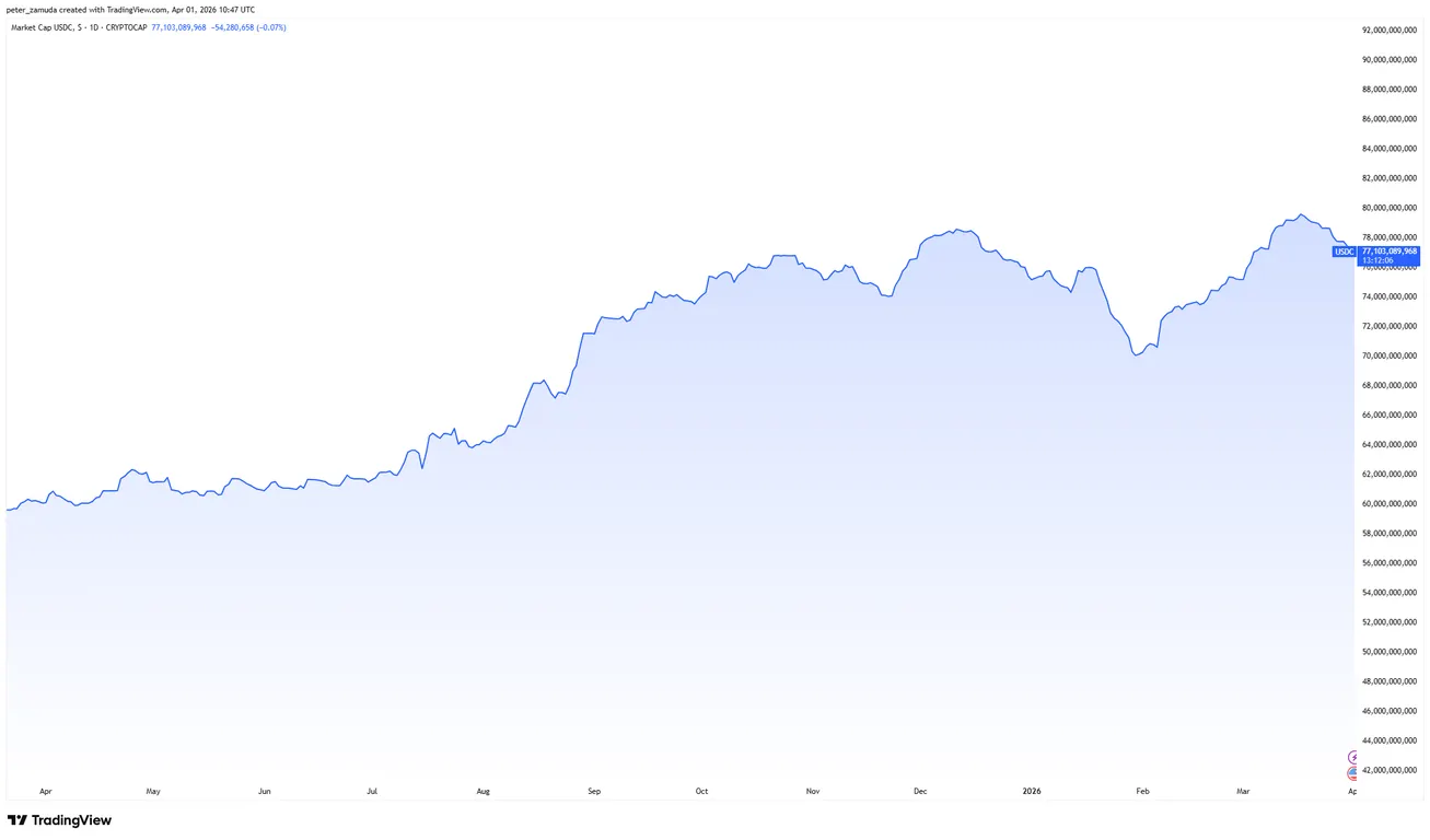 USDC market cap last 12 months