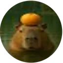 Official Capybara coin