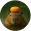 Official Capybara coin