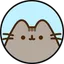 PUSHEEN