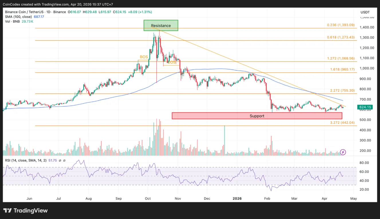 Daily BNB price chart analysis
