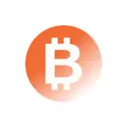 Bitmine Immersion Technologies Inc Tokenized Stock