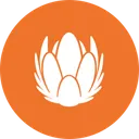 Liberty Global Ltd Tokenized Stock
