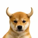 bull dog