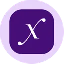 Direxion Daily Semi Bull 3X Tokenized ETF - Ondo