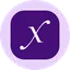 Direxion Daily Semi Bull 3X Tokenized ETF - Ondo