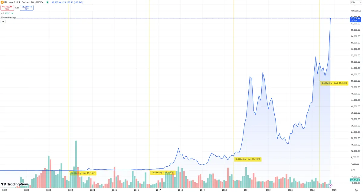 Past Bitcoin Halvings Price History