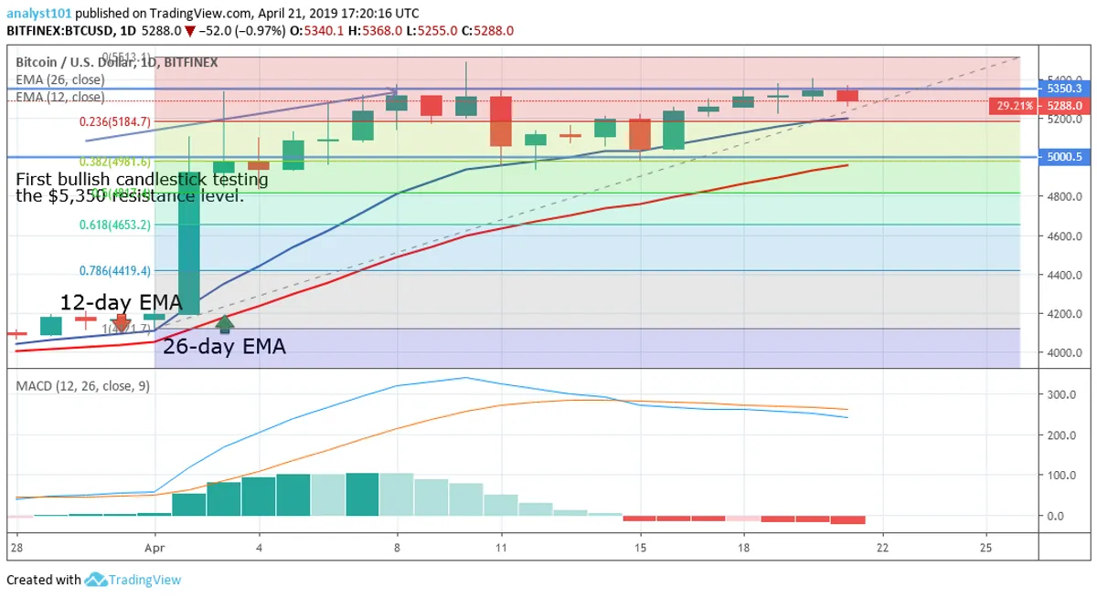 Bitcoin Price Analysis 1 Day Chart
