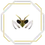 MANTIS Coin