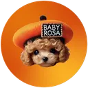Baby Rosa Inu