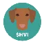Hungarian Vizsla Inu