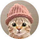 CatWifHat