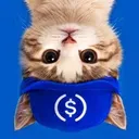 UpSideDownCat