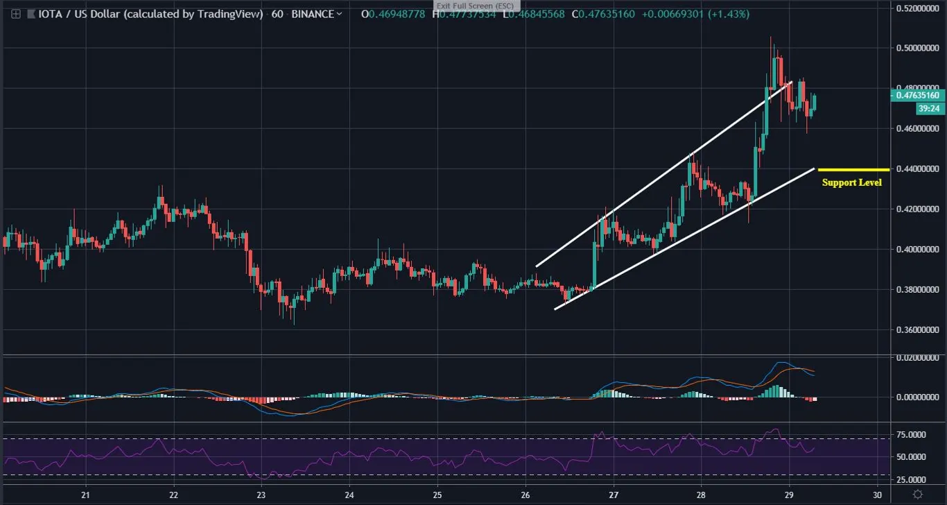 IOTA 1 Hour Chart