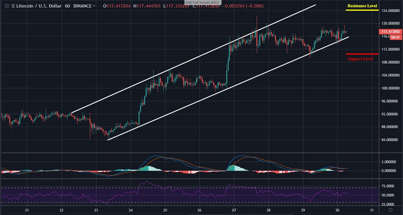 LTC 1 Hour Chart