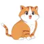 Fufo