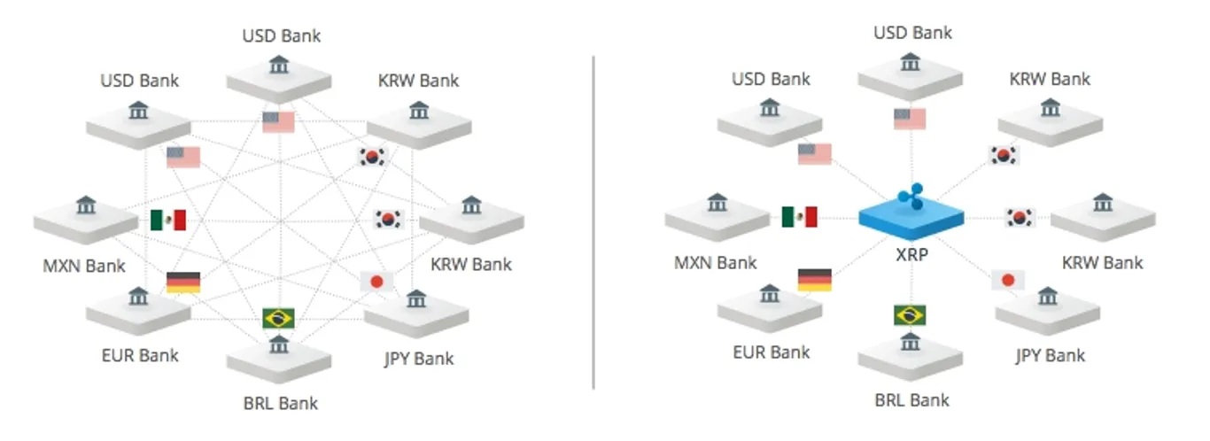 xrp-bridge-currency-graphic