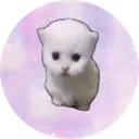 hop cat