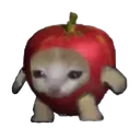 Apple Cat