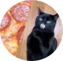 Pizza Cat