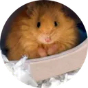Woolly Mouse