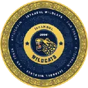 İstanbul Wild Cats Fan Token