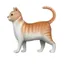 Cat Emoji on Solana