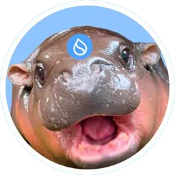 How to Buy sudeng (HIPPO)