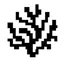 Coral Protocol