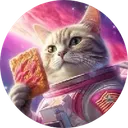 TOP CAT